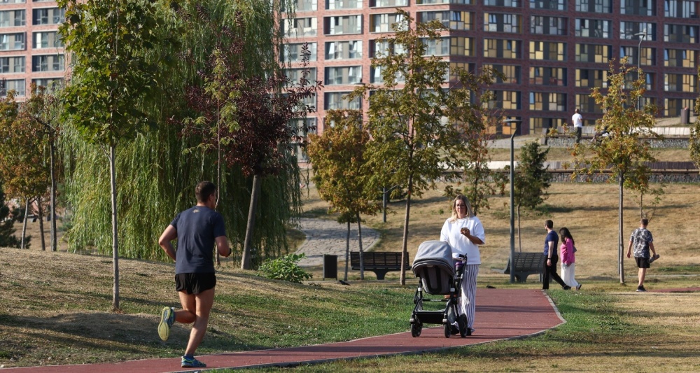 Изображение темы дня