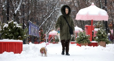 Главное изображение