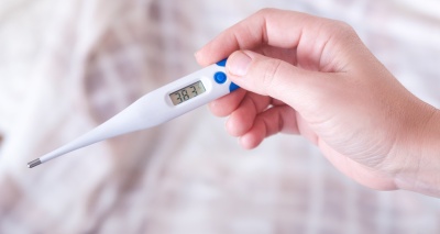 Главное изображение