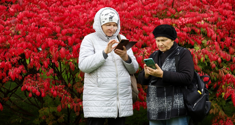 Изображение темы дня