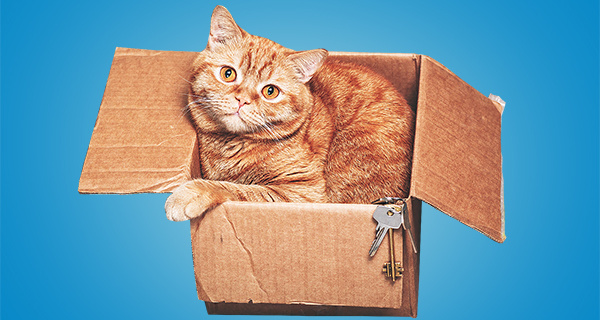 Изображение темы дня