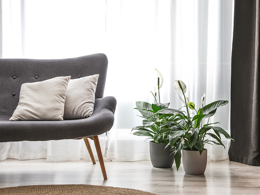 2 миллиона в ипотеку на вторичке: сколько придется платить в месяц 