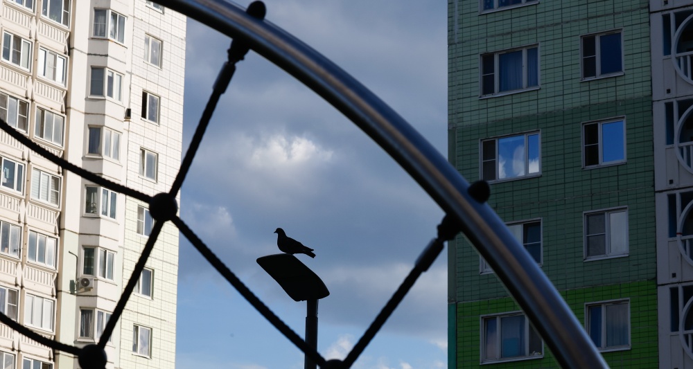 Изображение новости