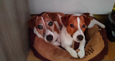 Главное изображение