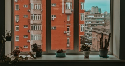 Главное изображение