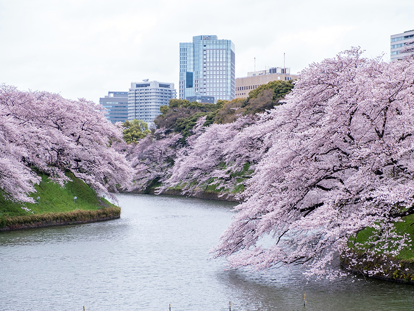 Обложка новости