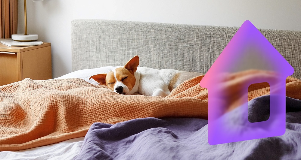 Изображение темы дня