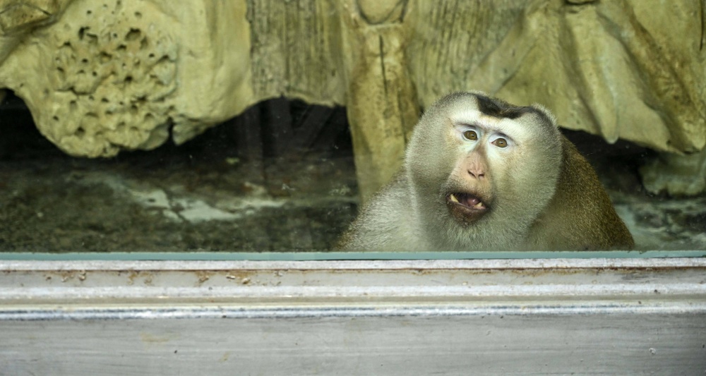 Изображение темы дня