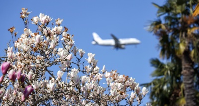 Главное изображение