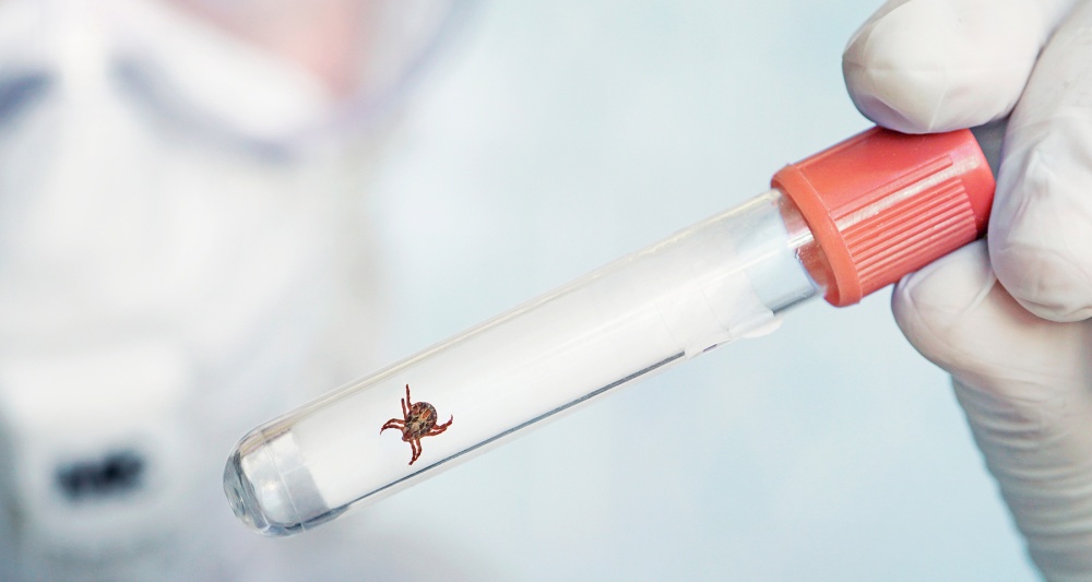 Изображение темы дня