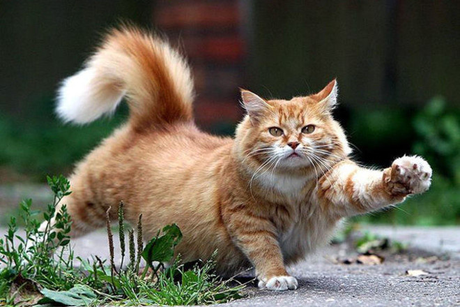 Изображение темы дня