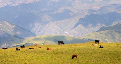 Главное изображение