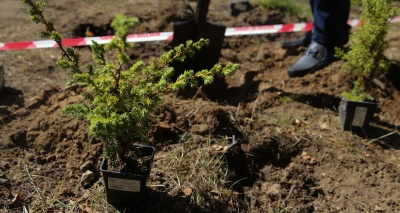 Главное изображение